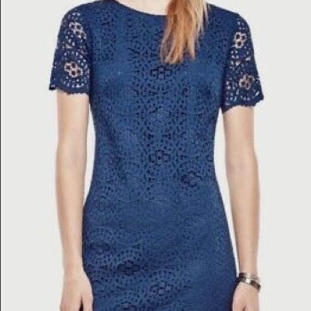 Ann Taylor Navy Lace Shift Dress